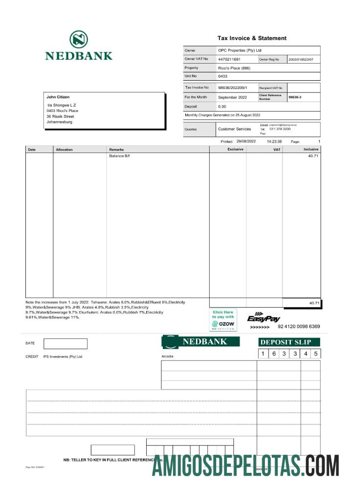 Declaração do Nedbank da África do Sul para download em Word e PDF modelo Scr